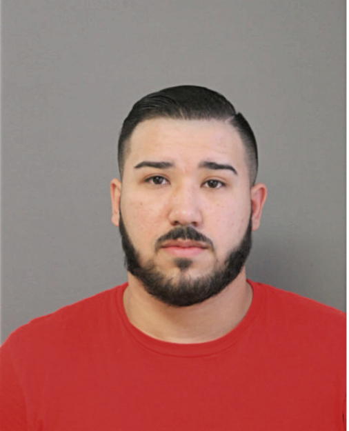 ERIC A HERNANDEZ, Cook County, Illinois