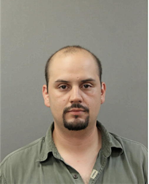 LUIS A GARCIA, Cook County, Illinois