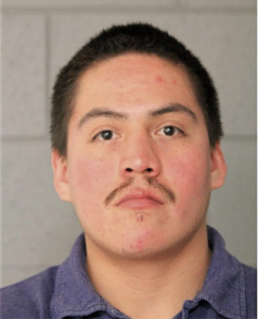 GERARDO MEDINA, Cook County, Illinois