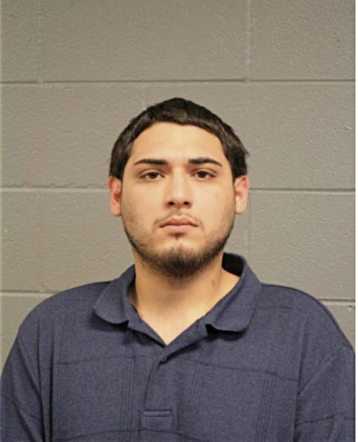 RICARDO L PEREZ, Cook County, Illinois