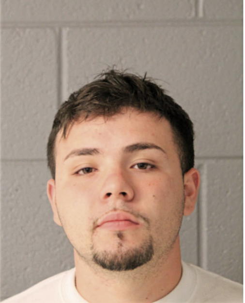 NICHOLAS D GONZALEZ, Cook County, Illinois