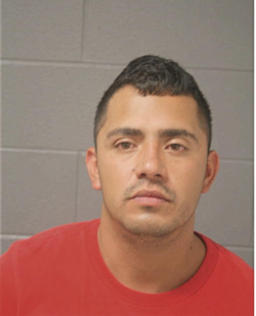 JOSE LUIS PEREZ-GUERRERO, Cook County, Illinois