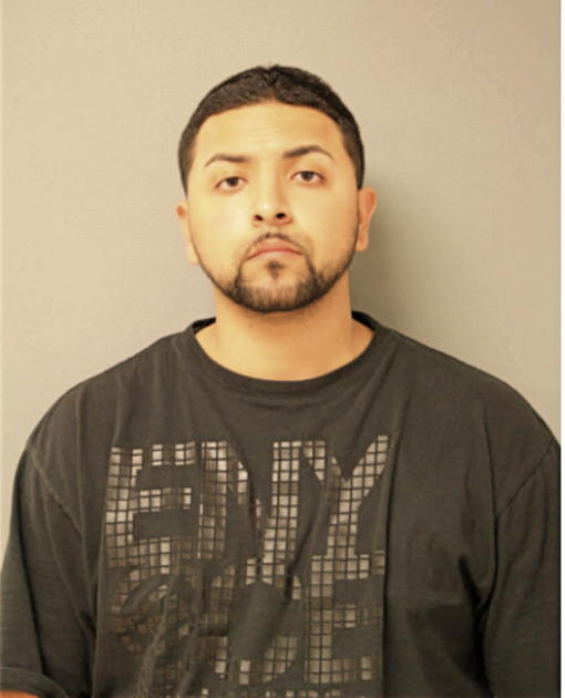 RONNIE A ROBLES, Cook County, Illinois