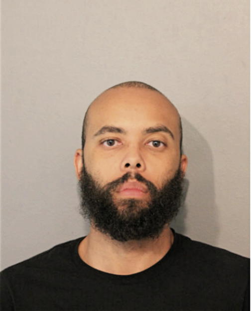CHRISTOPHER B DANIELS, Cook County, Illinois