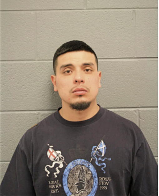 RODRIGO SANCHEZ, Cook County, Illinois