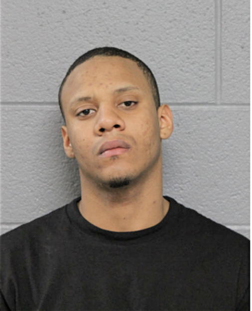 MICHAEL A WILLIAMS, Cook County, Illinois