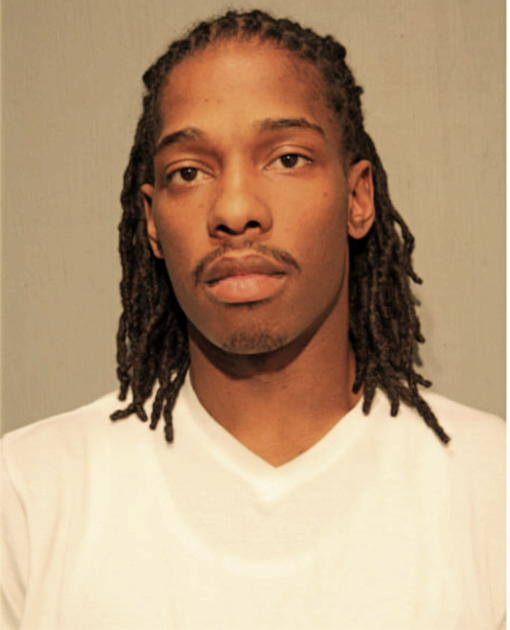 TERRENCE A ROBINSON, Cook County, Illinois
