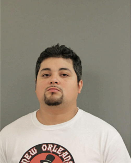 ARGENIS MAYA, Cook County, Illinois