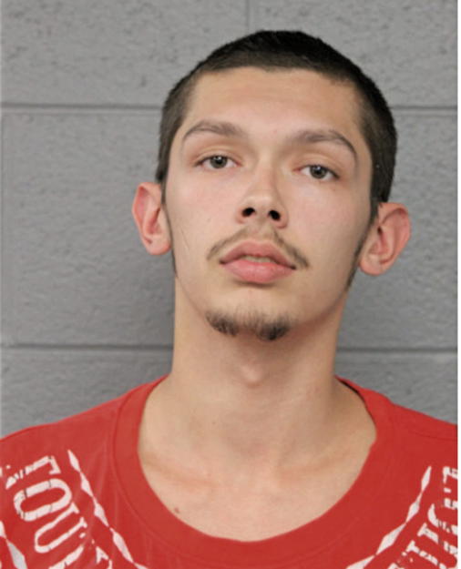 CHRISTIAN J MUNOZ, Cook County, Illinois