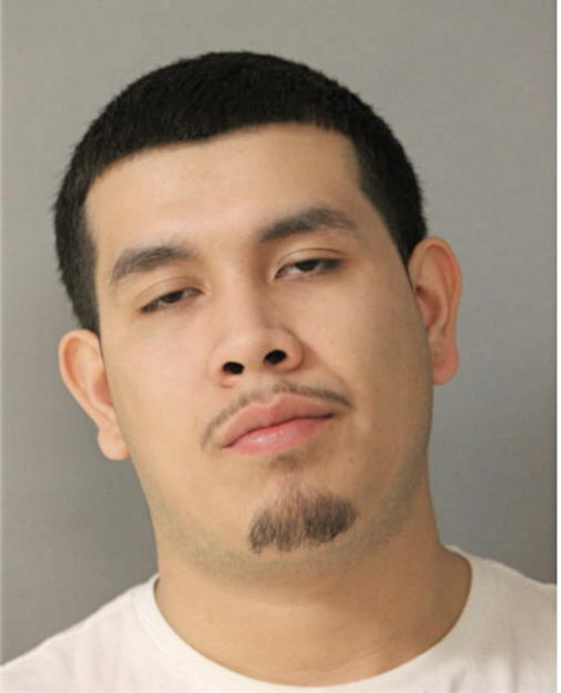 MICHAEL MARTINEZ-DIAZ, Cook County, Illinois