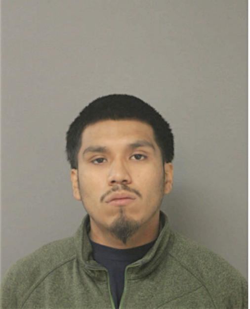 NELSON MENDOZA, Cook County, Illinois