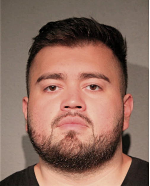 RAY J VARGAS, Cook County, Illinois