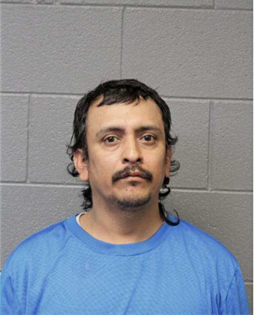 MIGUEL ANGEL FERNANDEZ, Cook County, Illinois