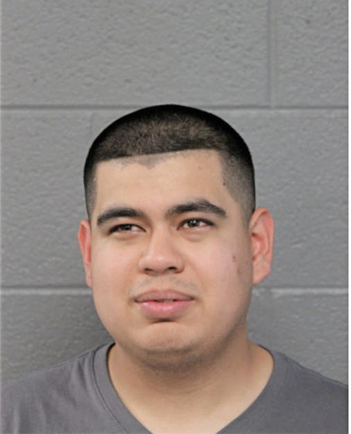 REY DELGADO, Cook County, Illinois