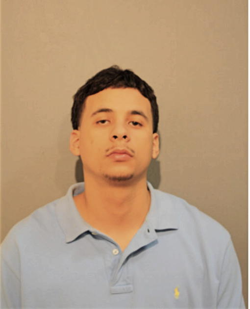 LUIS M SANCHEZ, Cook County, Illinois