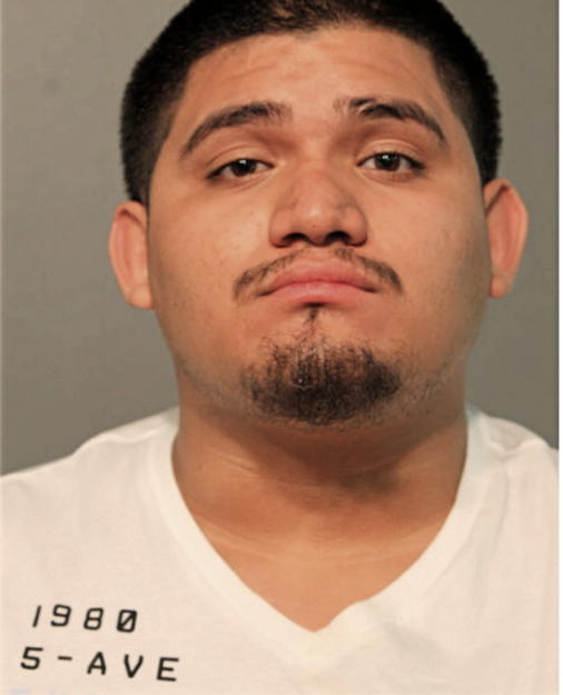 MIGUEL ANGEL TORRES, Cook County, Illinois
