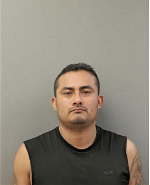 DOMICIANO SANTOS-CRUZ, Cook County, Illinois