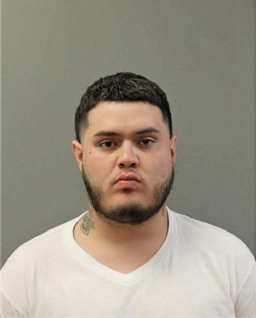 CHRISTOPHER PULIDO, Cook County, Illinois