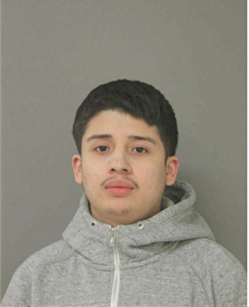 FREDDY DEL TORO, Cook County, Illinois