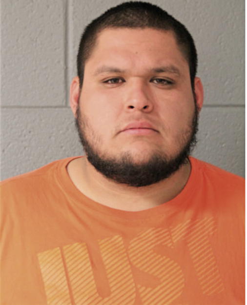 PEDRO DOMINGUEZ-MARTINEZ, Cook County, Illinois