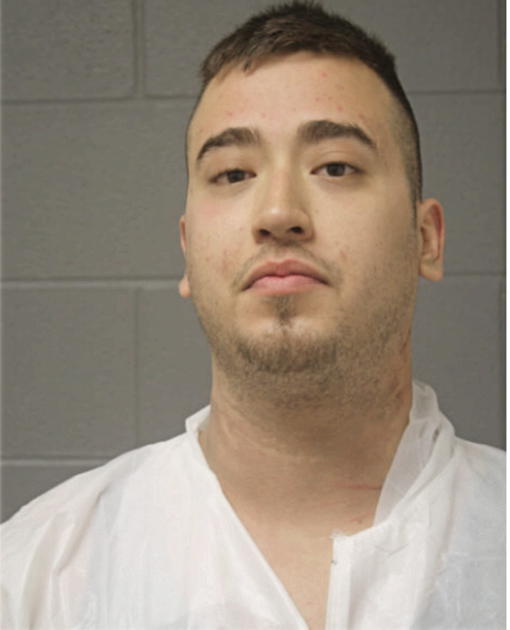 MICHAEL A MARTINEZ, Cook County, Illinois