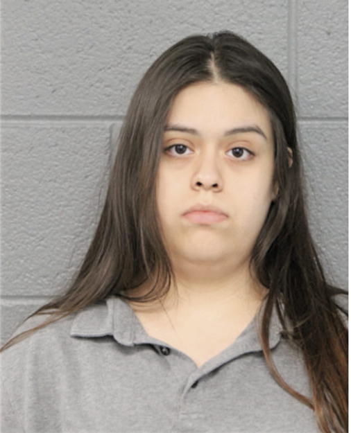 LYZBETT VILLANUEVA, Cook County, Illinois