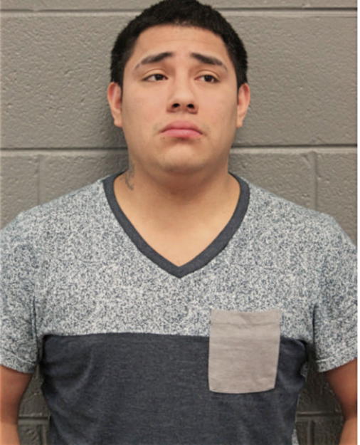 IRVING PAZ, Cook County, Illinois