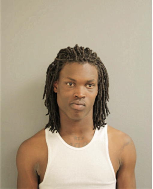 CHRISTOPHER L LUCIOUS, Cook County, Illinois