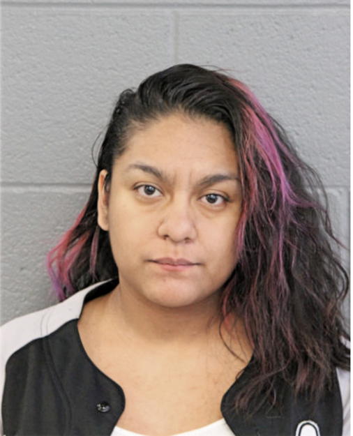 KAREN E SAAVEDRA, Cook County, Illinois