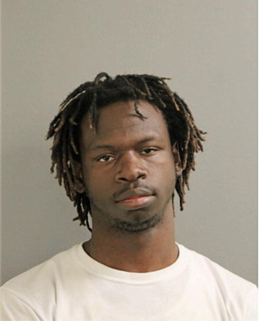 CHRISTOPHER L THOMAS, Cook County, Illinois