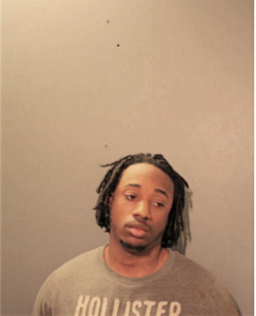 WILLIAM E WILLIAMS, Cook County, Illinois