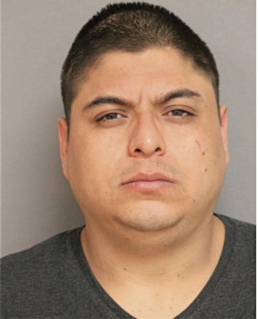 JOSE L LOZANO, Cook County, Illinois