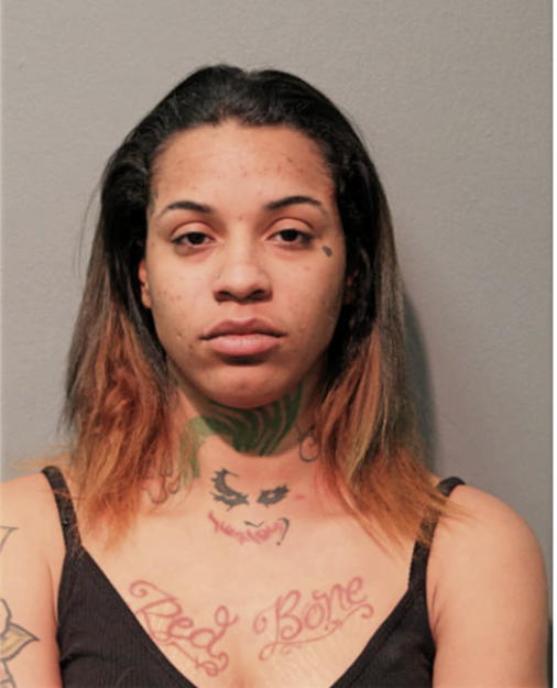 BRITTANY HILL, Cook County, Illinois