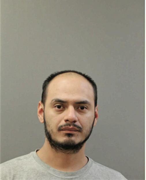 FERNANDO M DELGADO, Cook County, Illinois