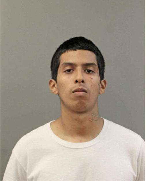 JONATHAN NORIEGA-SALGADO, IL