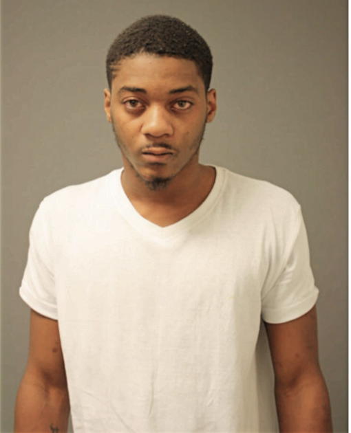 DEVON E WICKS, Cook County, Illinois