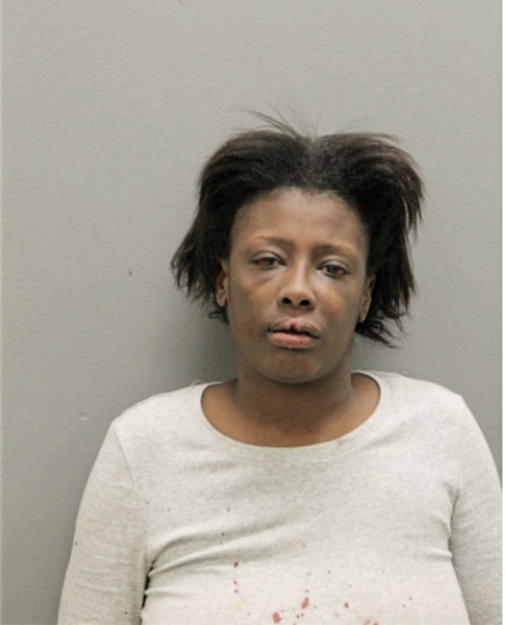 TAMIKA R LIPSEY, Cook County, Illinois