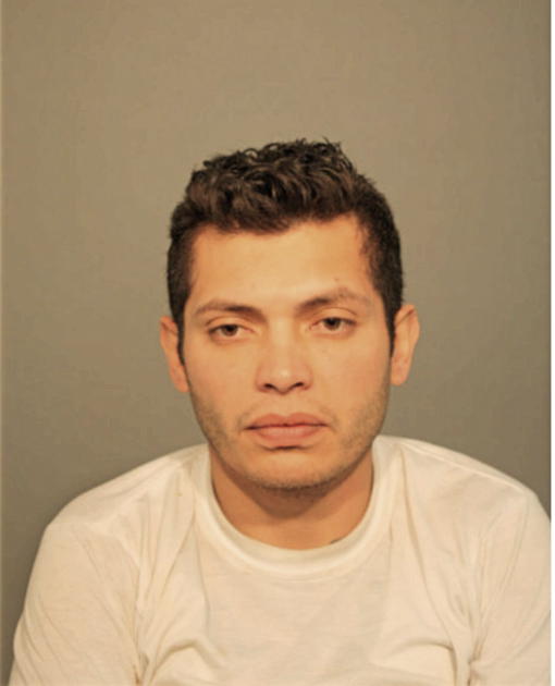 EDWIN J MOLINA-GARCIA, Cook County, Illinois