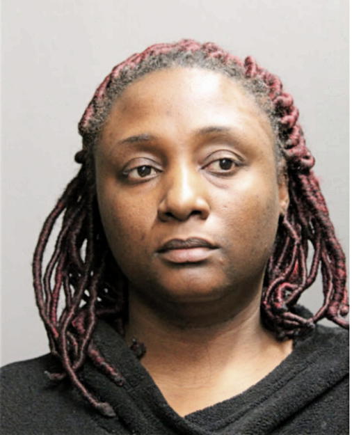 TAMEKA V WILLIAMS, Cook County, Illinois