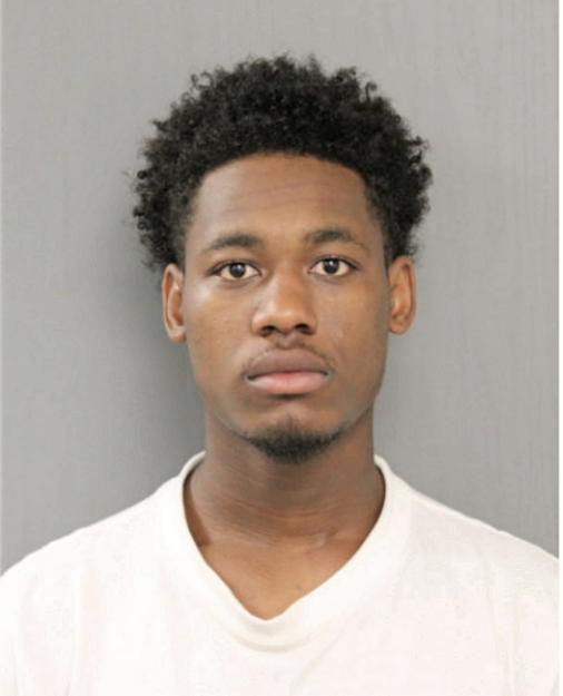 BRANDON L WADE, Cook County, Illinois