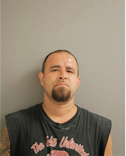 RAFAEL JR SOSA, Cook County, Illinois