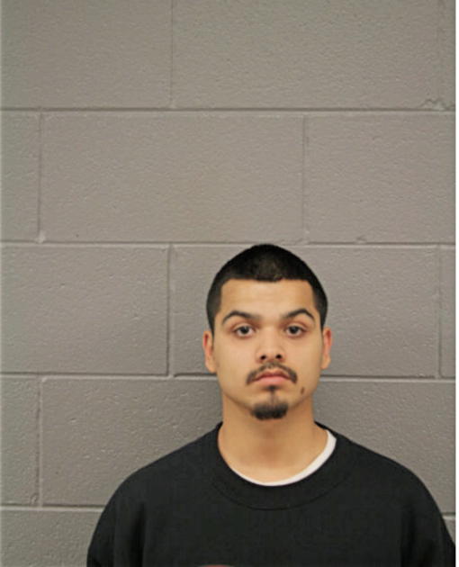 MARTIN PALAFOX, Cook County, Illinois