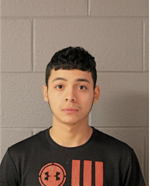EDGAR TORRES, Cook County, Illinois