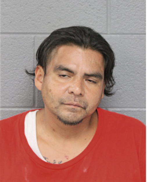 ESTEBAN SALGADO, Cook County, Illinois