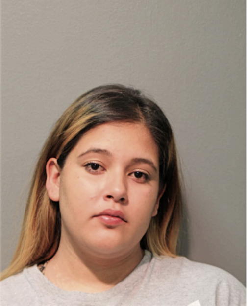 KRYSTAL K VICENTE, Cook County, Illinois