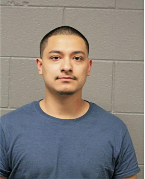 ANTHONY J FLORES, Cook County, Illinois