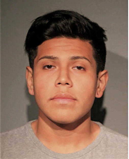 NICHOLAS C GOMEZ, Cook County, Illinois