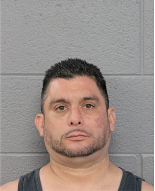 RICARDO L LUNA, Cook County, Illinois