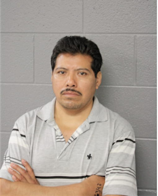 JUAN CARLOS NIVES, Cook County, Illinois