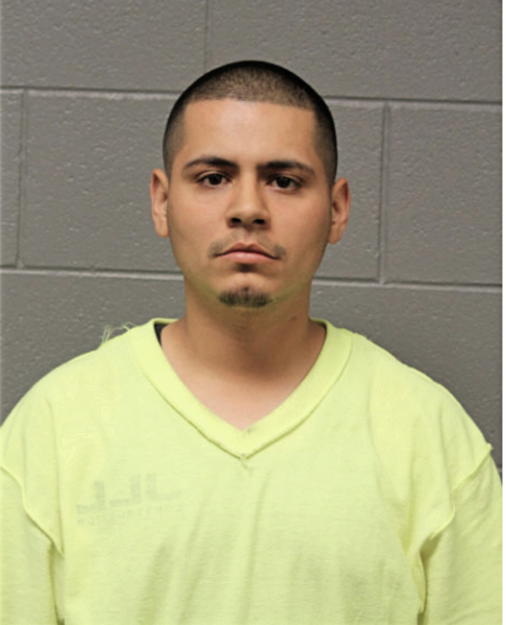 MIGUEL ANGEL TORRES, Cook County, Illinois